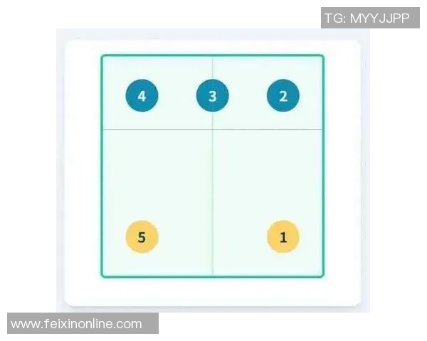 从零开始掌握排球技巧与战术全面指南助你成为排球高手