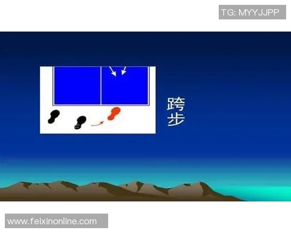 从零起步掌握乒乓球技巧与战术的全面指南与训练计划