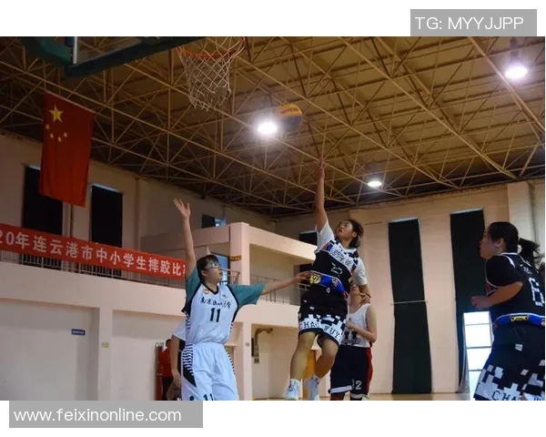 南京篮球队的蜕变之旅:从传统强队到现代化竞技新标杆 南京篮球队的蜕变之旅:从传统强队到现代化竞技新标杆