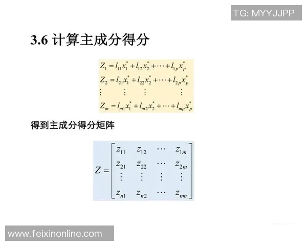 深入探讨杭州乒乓球队的节奏表现与数据分析背后的秘密 深入探讨杭州乒乓球队的节奏表现与数据分析背后的秘密
