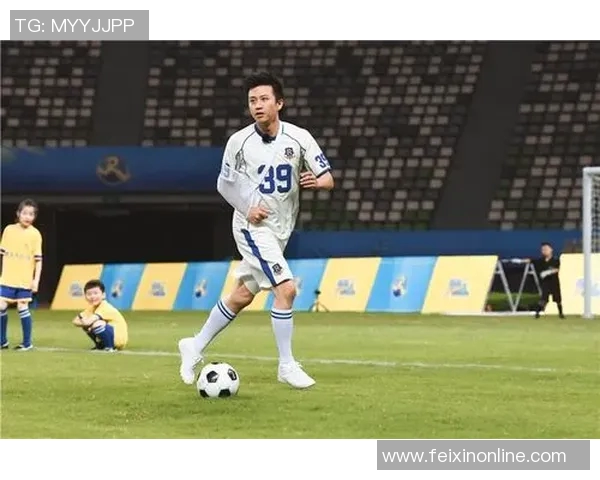 追寻梦想的绿茵传奇我的理想足球明星百人榜 追寻梦想的绿茵传奇我的理想足球明星百人榜