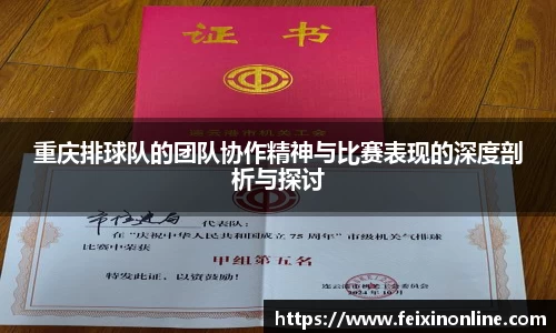 重庆排球队的团队协作精神与比赛表现的深度剖析与探讨