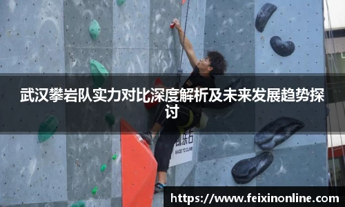 武汉攀岩队实力对比深度解析及未来发展趋势探讨