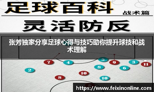 333体育专属指南